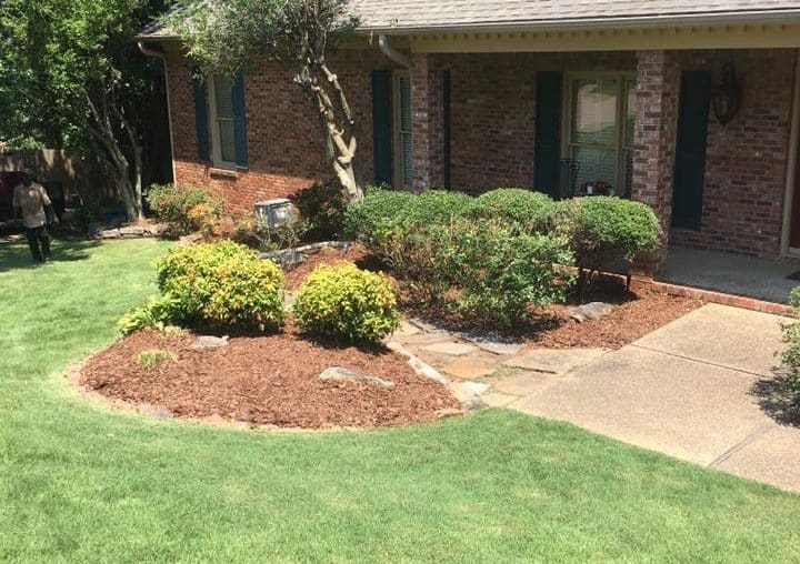 Landscaping clean-up After Photo