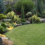 Fertilizing Your Lawn: The Do's and Dont's