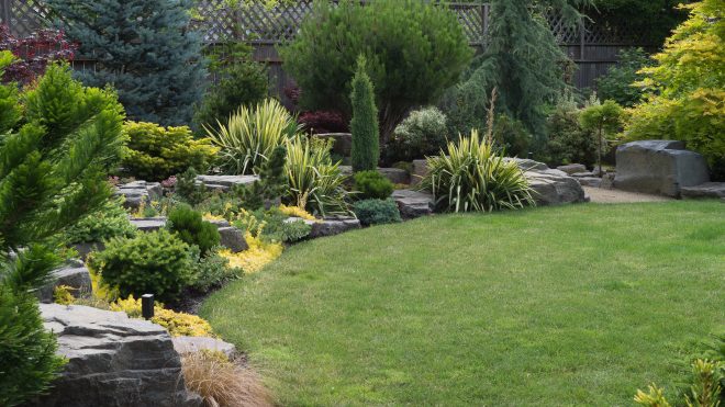 Fertilizing Your Lawn: The Do's and Dont's