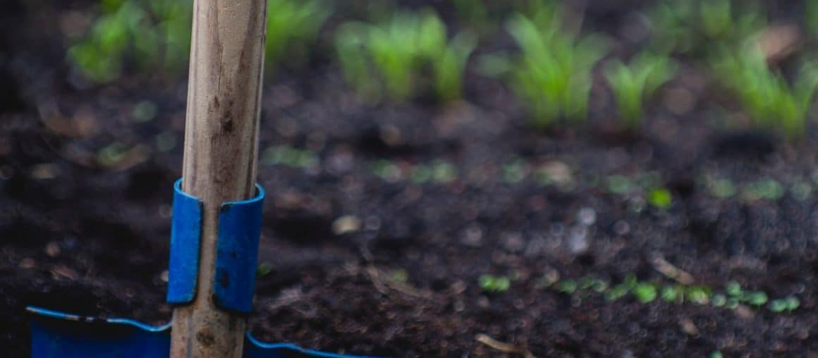 A Closer Look at Dirt: Understanding Soil Types