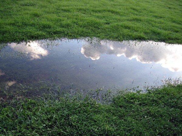 Fix Standing Water In Your Lawn With A French Drain