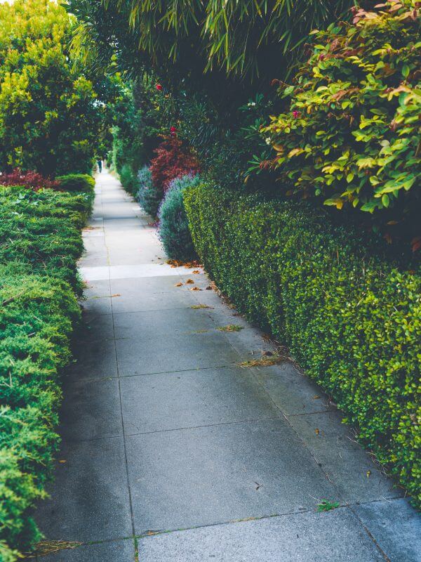 Little Rock, AR Commercial Landscaping Sidewalk